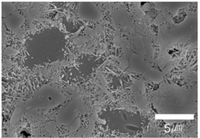 Fig. 6. Microstructure of the porcelain part of K-1 insulator(1973) observed by FE-SEM.