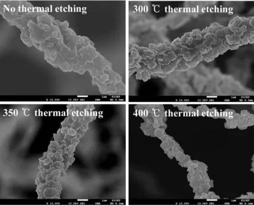 Fig. 3.  N 2  adsorption/desorption isotherms of the flexible zeolite fibers with different thermal etching temperatures.