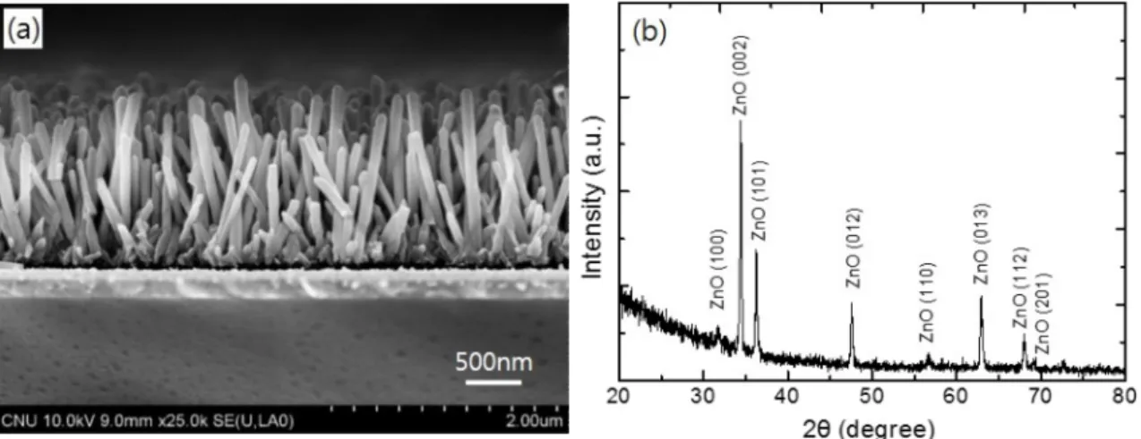 Fig. 3. Typical top-view SEM images of Cu 2 O thin films electrodeposited on ITO-coated glass substrates from lactate-stabilized copper sulfate solutions of (a) pH 9, (b) pH 11 and (c) pH 13