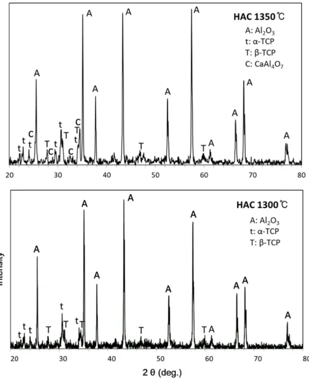 Fig. 2 와  3은  각각 1,300 o C 와 1,350 o C 에서  소결된 HAC 의 SEM 분석결과를  보여준다. 1,300 o C 와 1,350 o C 시편  둘  다 HA 분해  시  기상의  H 2 O  발생으로  인해  생 성된  것으로  보이는 5-6 µm  크기의  큰  기공들이  관찰되 었다[Fig