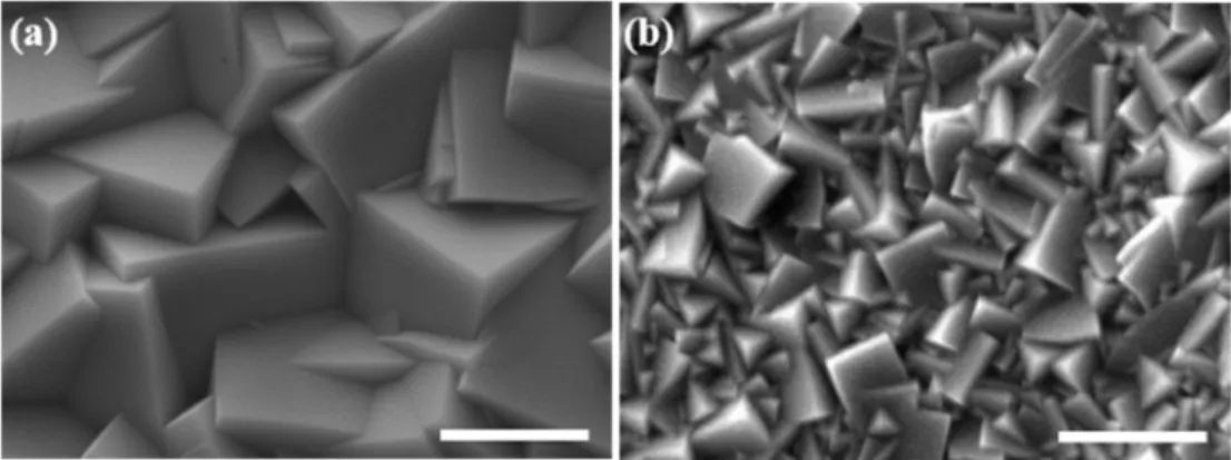 Fig. 3. Linear sweep voltammetry(J-V curves) of (a) Cu 2 O thin film on FTO substrate (b) Cu 2 O thin film on Au thin film with FTO substrate in the presence of 0.5 M Na 2 SO 4  (pH 7.0) under dark and light illumination.