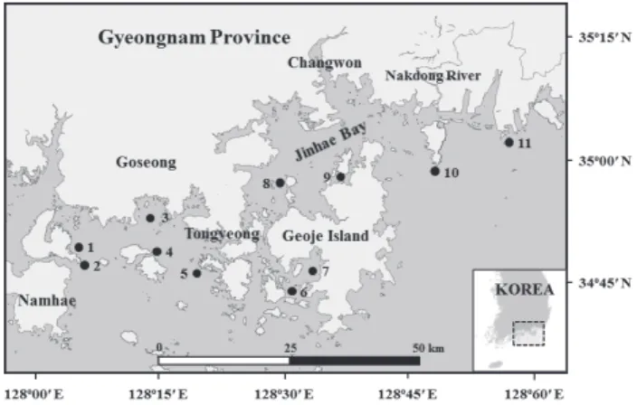 Fig. 1. Sampling stations of seawater (stations 3, 4, 5, 6, 7, 8, 9, 10,  and 11) and bivalve shellfish (oysters; stations 3, 4, 5, 6, 7, 8, and  9, mussels; stations 1 and 2) on the Gyeongnam coast of Korea