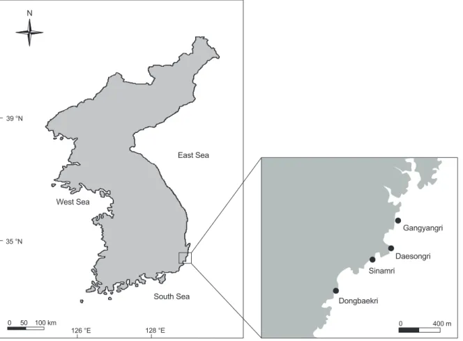 Fig. 1. A map of study site and the location at in the southern part of east coast of Korea.