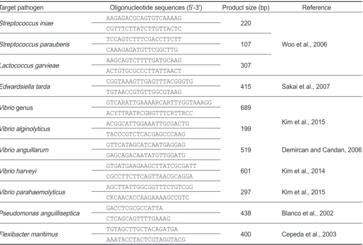 Table 1. Primer sets used for the identification of bacteria in this study