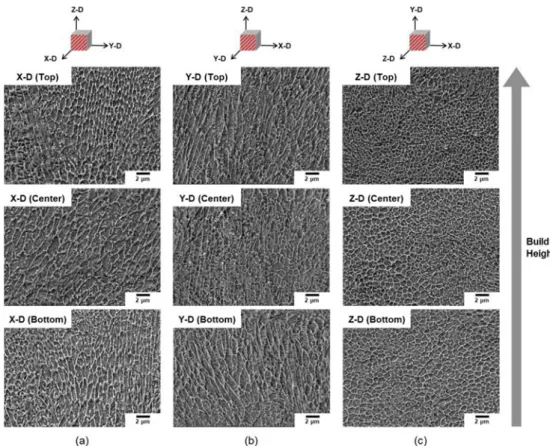 Fig. 4. SEM-EDS images in the X-D plane with quantitative analysis of three different points of the 3D printed H13 steel specimen.