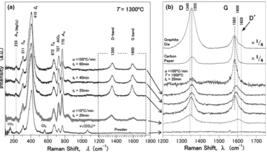 Fig. 3. (a) Raman spectra of the MgAl 2 O 4  spinel sintered by SPS at 1,300 o C for 20 to 60 min with different heating rate between 10 and 100 o C/min