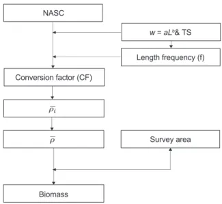 Fig. 3. The flow chart for estimation of euphausiid’s biomass.