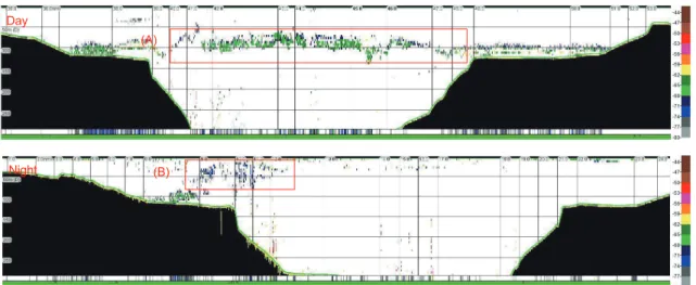Fig. 5. The vertical distribution of euphausiids Euphausia pacifica at (A) daytime and (B) nighttime in May