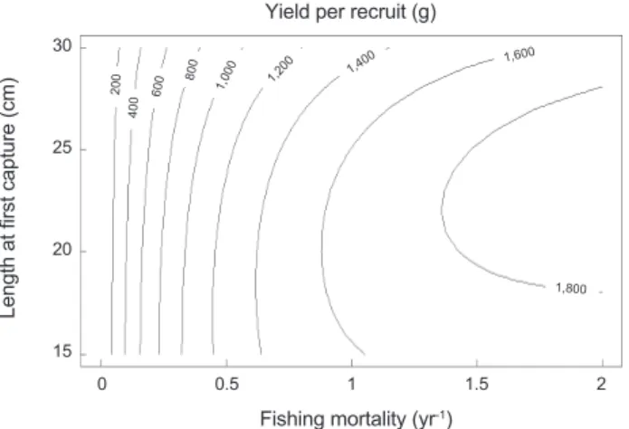 Fig. 2. Yield per recruit curve of chub mackerel Scomber japonicus  varying with the length at first capture (L c =15, 20, 25, 30 cm) and  the corresponding values of F 0.1 