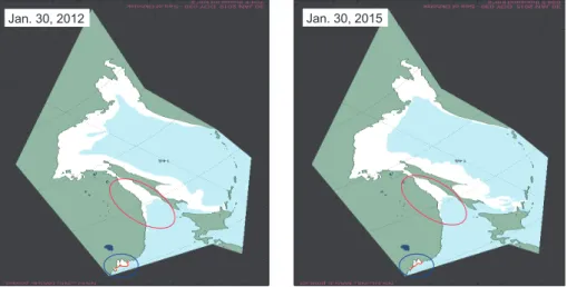 Fig. 7. The satellite image for ice coverage near Vladivostok (blue circles) and tatar strait (red circles)