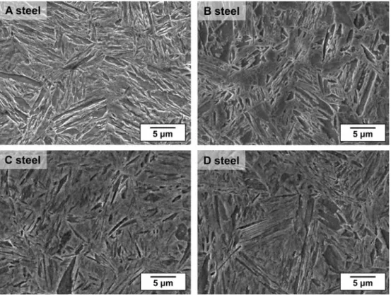Fig. 6. SEM micrographs of as-quenched specimens of the A, B, C, and D steels.