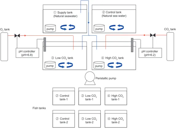 Fig. 1. Schematic diagram of CO 2 -exposure experiment for chameleon goby Tridentiger trigonocephalus