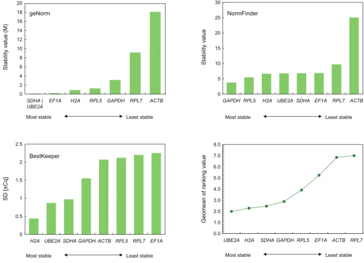 Fig. 2. Expression stability rankings of eight housekeeping genes in embryonic subset as addressed by geNorm, NormFinder and Best- Best-Keeper programs