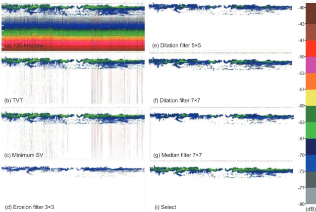 Fig. 4. Example of echogram for the noise removal based on acoustic data.