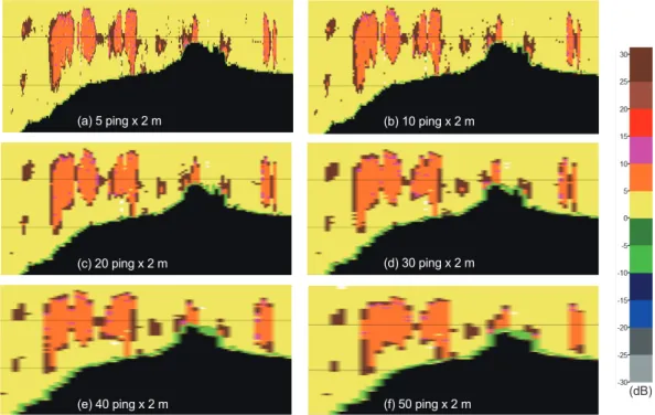 Fig. 8. Example of echogram as to the volume of cell according to the characteristics of the frequency of Antarctic krill Euphausia superba.