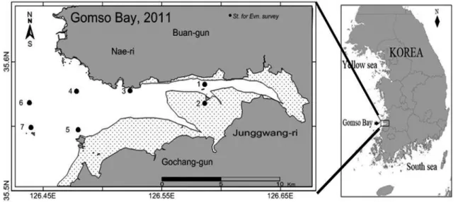 Fig. 1. Study area and sampling stations in Gomso Bay.
