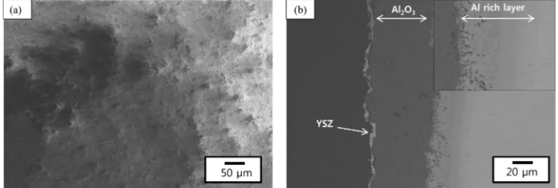 Fig. 8. Appearance of specimen: before and after the flame test at 1350 o C for 5 min.