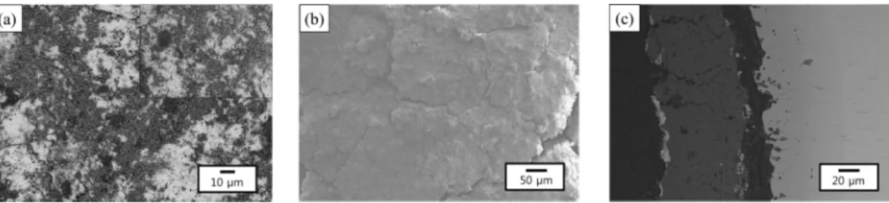 Fig. 9. SEM BSE images of the specimen after flame test: (a) uncoated SUS 304, (b) surface of the coated SUS 304 and (c) cross-section of the coated SUS 304.