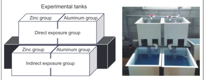 Fig. 1. Sketch of the experimental tank containing aluminum and zinc hot-dip galvanized steel sheet.