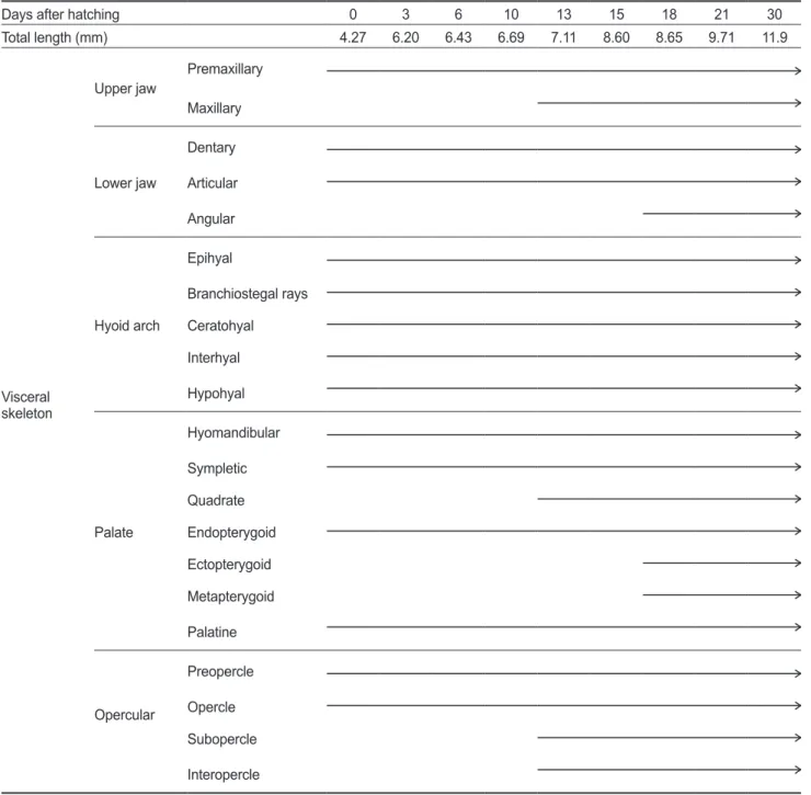 Table 2. The development process of visceral skeleton of Korean spotted sleeper Odontobutis interrupta