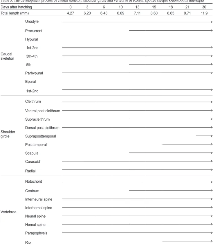 Table 3. The development process of caudal skeleton, shoulder girdle and vertebrae of Korean spotted sleeper Odontobutis interrupta