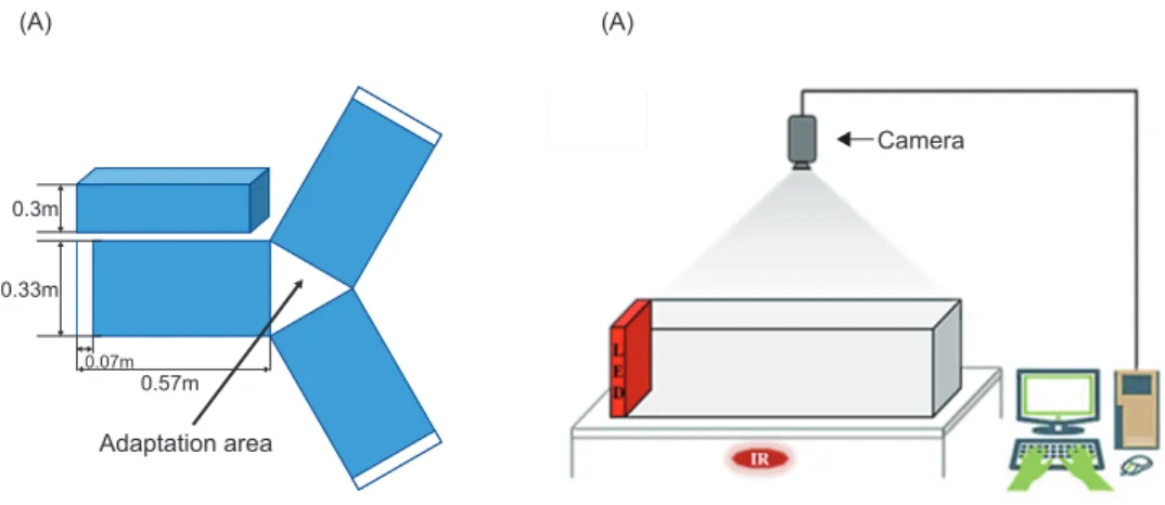 Fig. 1.  (A) Structure diagram of the Y-type cage aquarium constructed for photo-response analysis, and (B) schematic diagram of the  experimental set up for behavior analysis.
