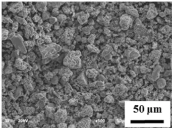 Fig. 1. SEM photograph shows the starting materials employed in current study.