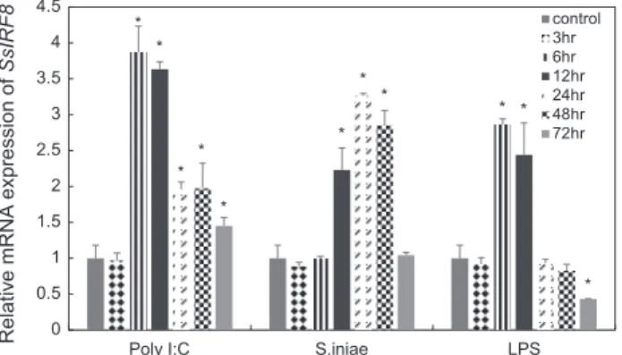 Fig. 4. SsIRF8 mRNA expression in different tissues (SP- spleen,  SK-skin,  IT-intestine,  GL-gill,  BL-blood,  HK-head  kidney,   LV-liver, St-stomach, MS-muscle) of the healthy black rockfish   Se-bastes schlegelii as measured using real time qPCR