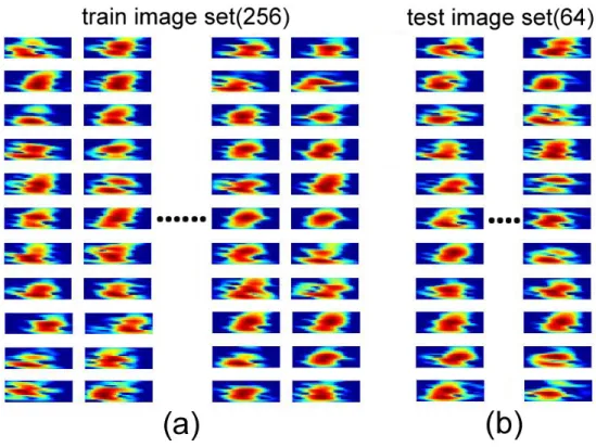 Fig. 2. Training (a) and test data sets (b) for time-frequency images of large yellow croaker Larimichthys crocea