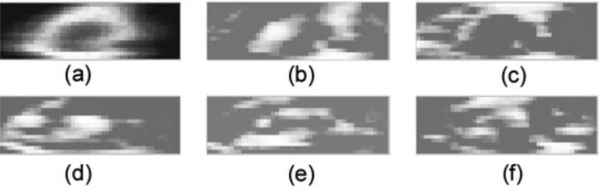 Fig. 5. Eigen images of normalized training images for six fish species. (a) black rockfish Sebastes schlegeli, (b) black scraper Thamnaco- Thamnaco-nus modesutus [K], (c) chub mackerel Scomber japonicus, (d) goldeye rockfish Sebastes thompsoni, (e) konosh