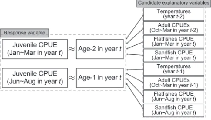 Fig. 5. Diagram depicting all the variables considered for the linear  model. In the candidate explanatory variables, the numbers  sub-tracted from t (e.g., t－1 and t－2, where t denotes the year index),  indicate time delays by which CPUE of juveniles at 1
