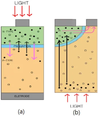 Fig. 1. Minority-carrier movements in the front-lit (a) and back-lit (b) structures: dark circles in the p-type substrate denote the minority electrons, and light circles in the n-type emitter denote the minority holes