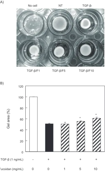 Fig. 2. Effect of fucoidan on TGF-β1-induced fibroblasts contrac- contrac-tile activity in rat tail type-1 collagen gel