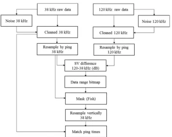 Fig. 4. Comparison of noise removal and raw echograms.
