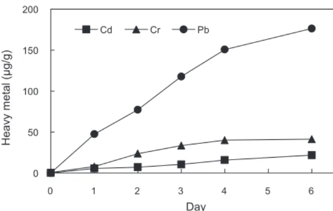 Fig. 1. Accumulation of heavy metals in laver Pyropia sp. during  incubation in seawater including Cd, Cr, and Pb