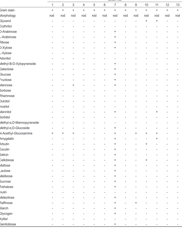 Table 2. Identification of putrescine producing bacteria