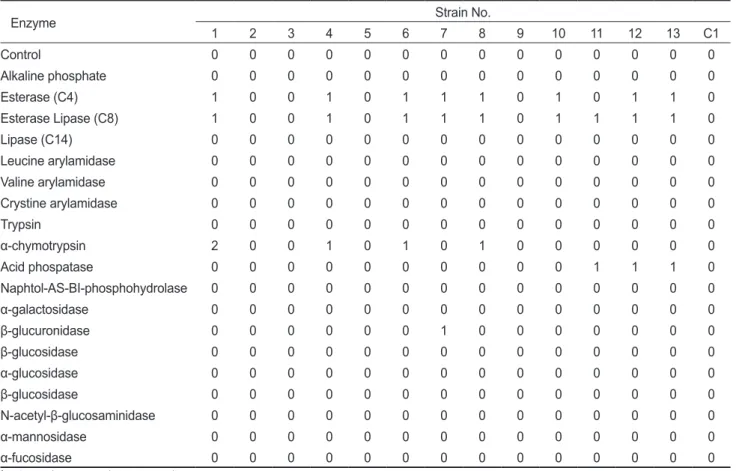 Table 3. Enzymatic activities of putrescine producing bacteria by API ZYM analysis