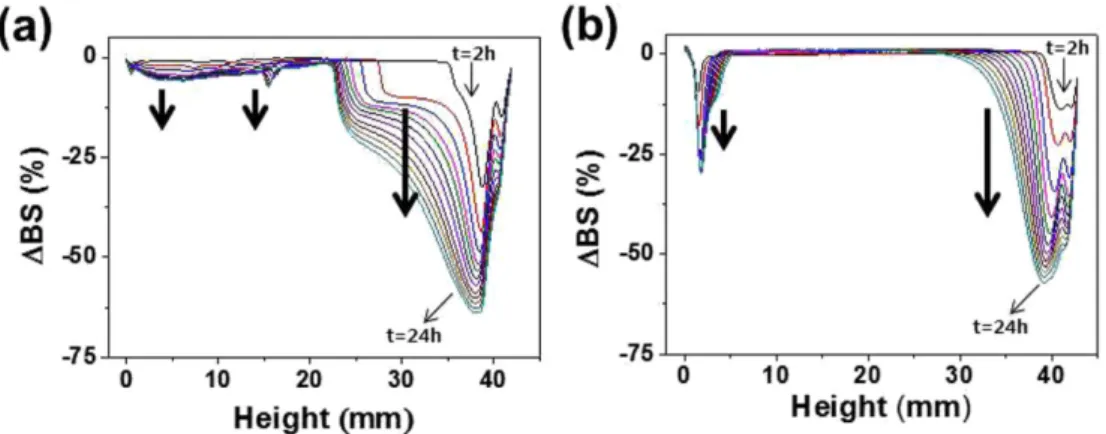 Fig. 5. Backscattering profiles of glass-ceramic ink (a) without Na-PAA addition and (b) with 0.4 mg/m 2  Na-PAA addition.