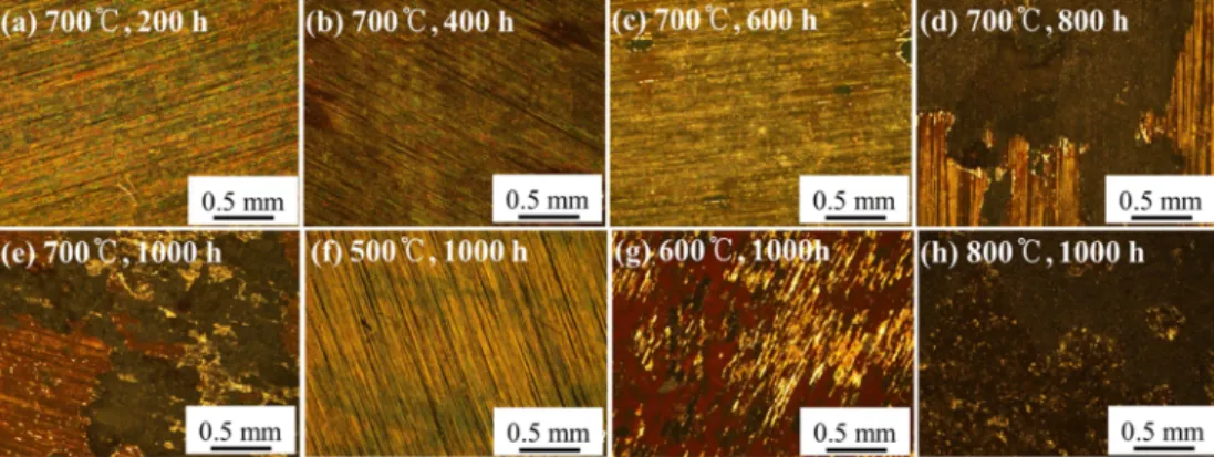 Fig. 2. Optical micrographs of 316 L stainless steel exposed at 500-800 o C in carbon dioxide environment.