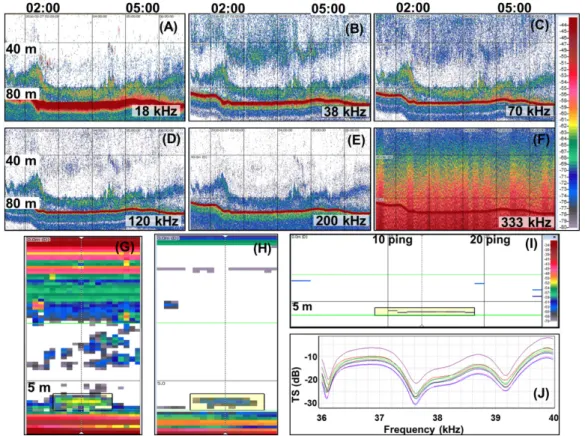 Fig. 1. Echograms made from the continuous wave (CW) of the EK80 (A-F). Time on the top of figures and depth on the left side of figures  are shown