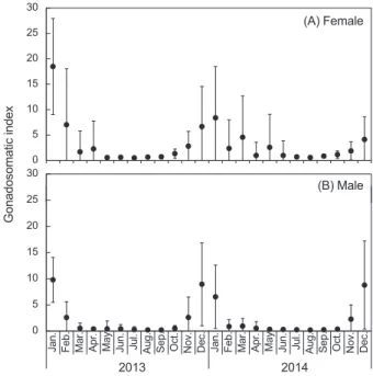 Fig. 5. Monthly changes in maturity stages of female (A) and male  (B) marbled flounder Pseudopleuronectes yokohamae in the coast  of Pohang, East Sea.