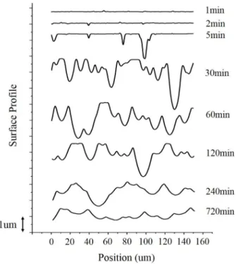 Table 2. EDS analysis of general surface and micro protrusion of glass surface.