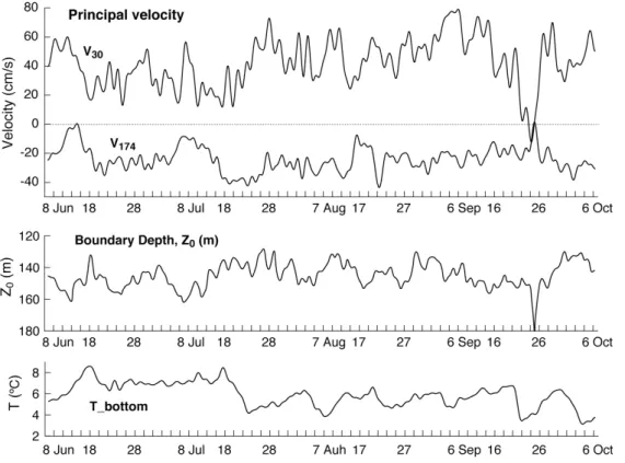 Fig. 5. A comparison of the principal velocities at the representative upper-lower layers, depth of current boundary and bottom temperature.