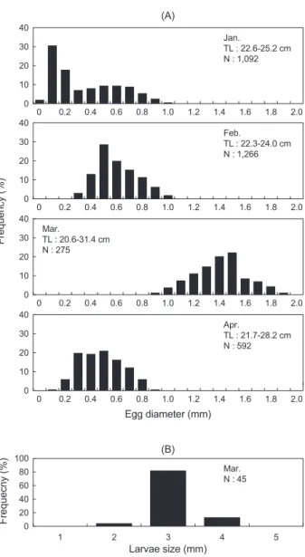 Fig. 4. Frequency distributions of egg diameter (A) and larvae size  (B) of Sebastes thompsoni caught by gill net in the coastal waters  off Ulleungdo, Korea during spawning period.