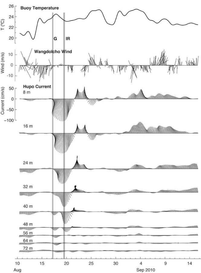 Fig. 10. Time series of temperature at 2 m depth of the Buoy station, wind velocity at Wangdolcho and current velocity
