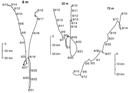 Fig. 11. Progressive vector diagrams of current velocity at 8 m, 32 m and 72 m depths
