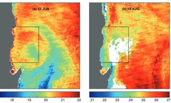 Fig. 3. MODIS infrared imagery showing the sea surface temperature. Boxes depict the regions of CTD observation and a ‘+’ symbol marks  the position of the ADCP observation in August.