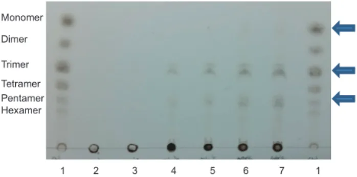 Fig. 2. Effect of alginate (0 h) and alginate oligosaccharides (12,  24, 36, 48, and 60 h) on the proliferation of RAW 264.7 cells