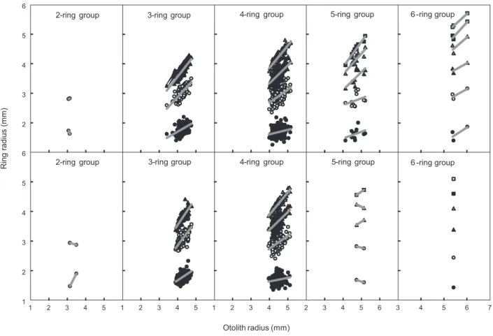 Fig. 4. Relationships between otolith radius and ring radius of Sebastes thompsoni by each ring group