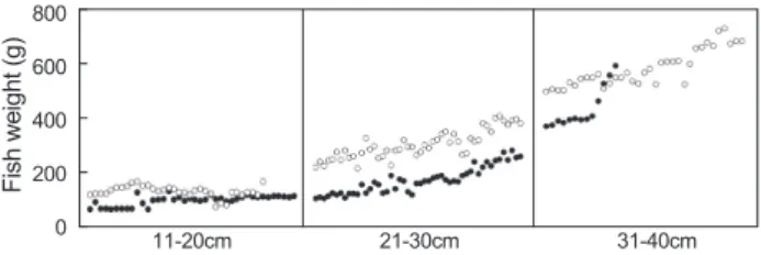 Fig.  3.  Monitoring  of  the  index  content  in  the  emaciated  olive  flounder Paralichthys olivaceus.○: Uninfected olive flounder, ●: 